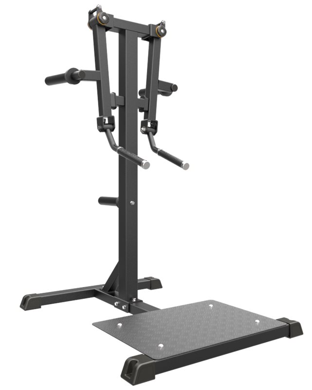 Skuldermaskine Stående Lateral Raise Stål Sort – Impulse IFP